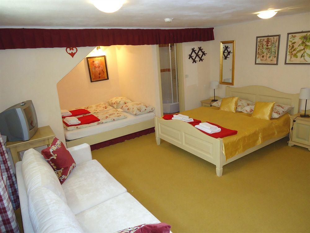 Vitranc Hotel 4*